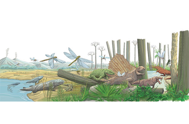 Portfolio Image