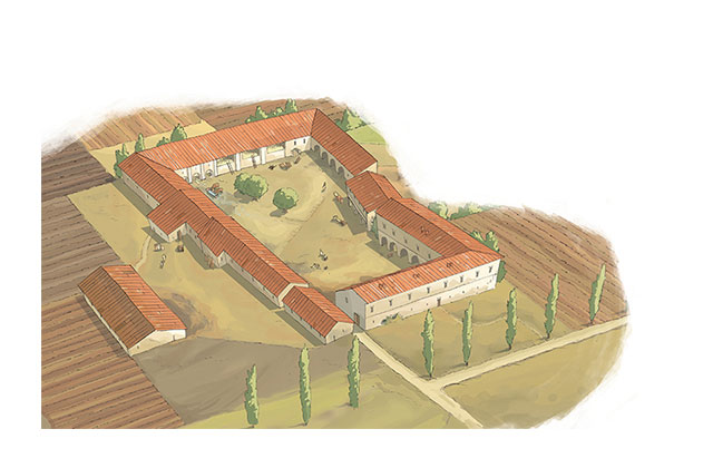 Portfolio Image